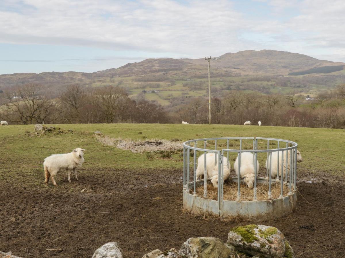 Brithgwm Canol Dolgellau Dış mekan fotoğraf