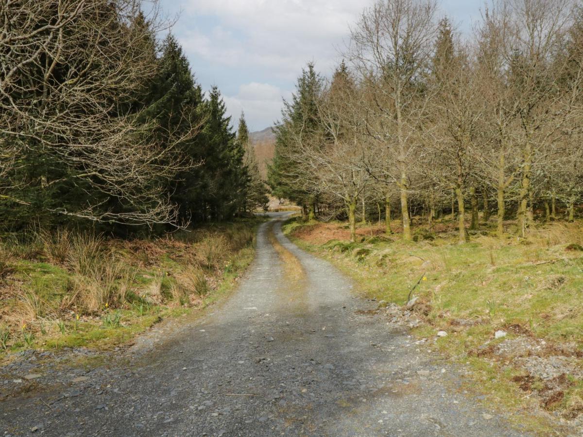Brithgwm Canol Dolgellau Dış mekan fotoğraf